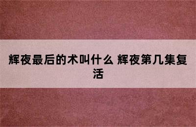 辉夜最后的术叫什么 辉夜第几集复活